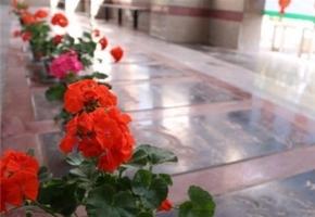 وضعیت نگهداری از گلزار شهدا در خرمدره مطلوب نیست