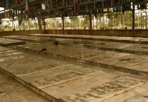 آغاز بازسازی قبور مطهر شهدای امامزاده بی بی سکینه (س)