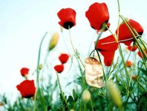 شهادت ملی‌پوش پیشین تیم ملی تنیس روی میز جانبازان