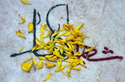 قصه تلخ مزار شهدای گمنام در همدان