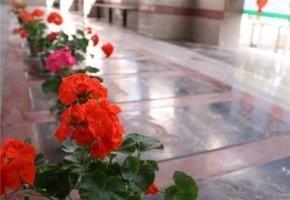 کارگروه ساماندهی گلزارهای شهدای استان زنجان برگزار شد