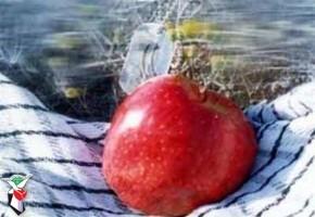 جلسه شورای ترویج فرهنگ ایثار و شهادت فارسان برگزار شد