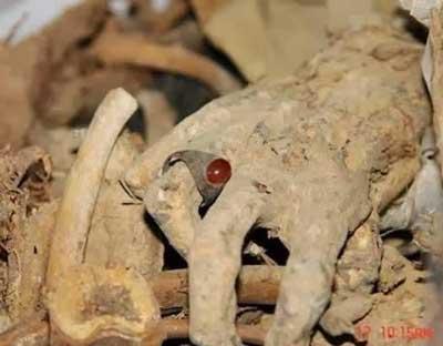 پلاک ها را دیدیم که بصورت پشت سر هم است. ۵۵۵ و ۵۵۶