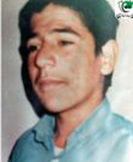 او را آوردیم تا تو آرام بگیری و بعد او را ببریم