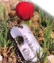 شهید مازندرانی که پس از پرواز زنده شد