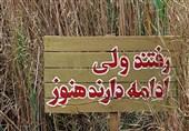 ارثیه شهدا برای فرزندانشان