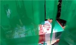 در محرم به دنیا آمد و۵۳ سال بعددر محرم بازگشت