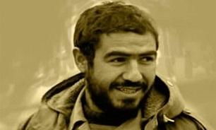 «نبرد در جزیره»