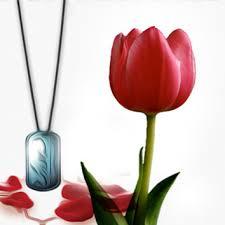  نوزادی که در شکم مادر اذان گفت