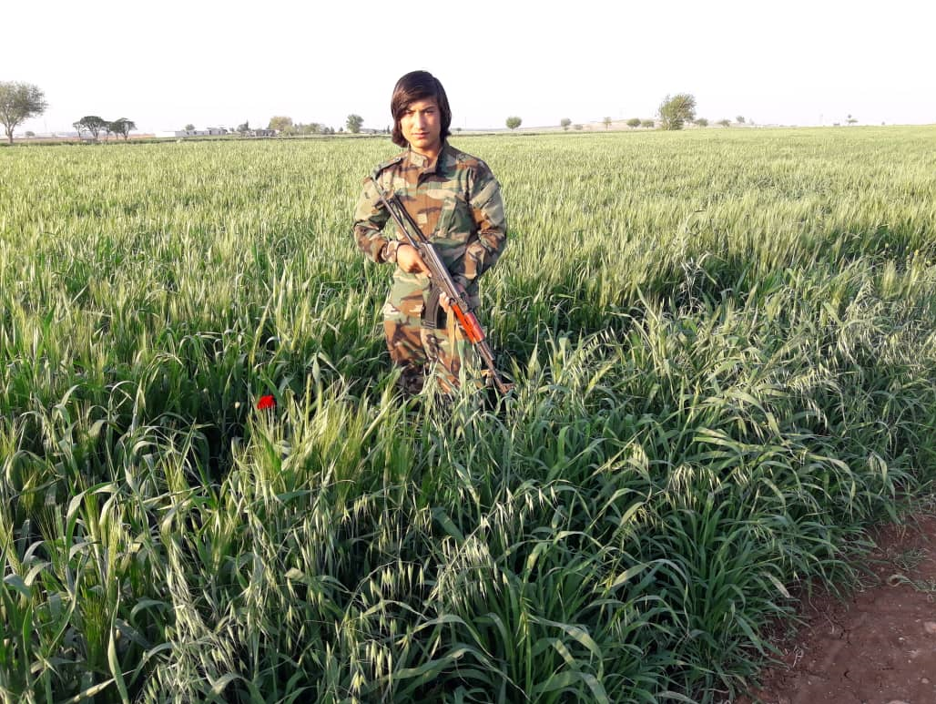 حاج قاسم گفت تو با این قد و قواره راننده تانکی؟!