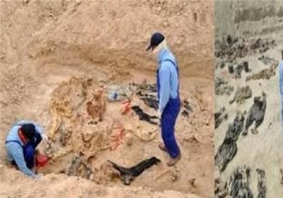 کشف پیکرهای ۷۱ شهید دوران دفاع مقدس در تفحص‌های مشترک ایران-عراق