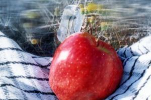 يار كُرد آقا هنگام شهادت چه خواست؟