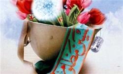 اجرای طرح ثبت‌نام خادمان شهدا در کرمانشاه