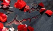 رونمایی از سه فیلم شهدای هنرمند شاخص گیلان